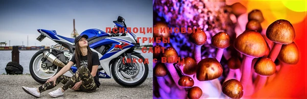 прущая мука Бугульма